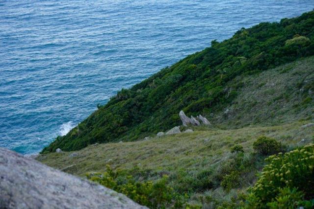 France equinoxiale : guide pratique Brésil