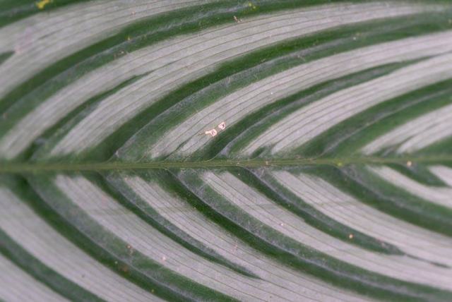 Minas gerais brésil : guide pratique Brésil Minas gerais brésil : guide pratique Brésil