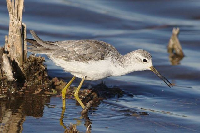 Carte du brésil détaillée : guide pratique Brésil