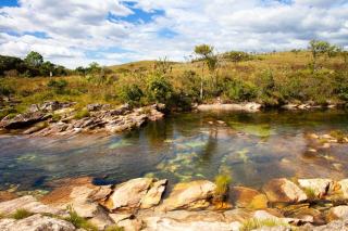 Photos cerrado : images de la savane tropicale brésilienne