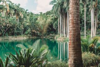 Institut Inhotim : le musée d'art contemporain en plein air