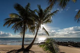 Nordeste Brésil : culture, plages et gastronomie du nord-est