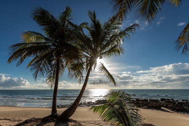 Le Nordeste du Brésil : soleil, culture et plages à perte de vue Le Nordeste du Brésil : soleil, culture et plages à perte de vue