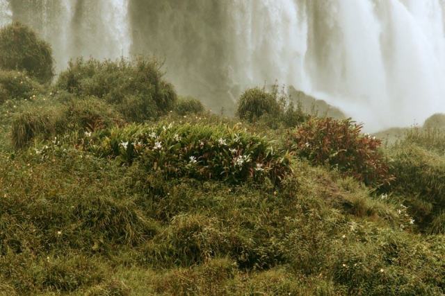 Les chutes d'Iguaçu : le spectacle aquatique le plus impressionnant du monde Les chutes d'Iguaçu : le spectacle aquatique le plus impressionnant du monde