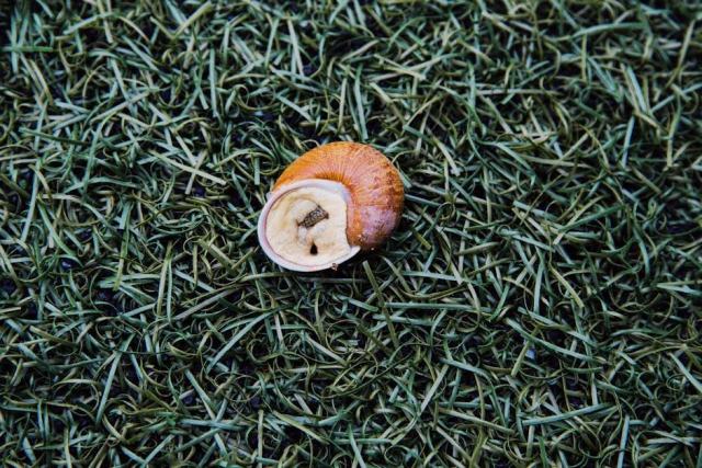 Tout ce qu'il faut savoir sur le Brésil avant de partir Tout ce qu'il faut savoir sur le Brésil avant de partir